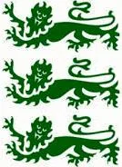 dorset county cricket logo